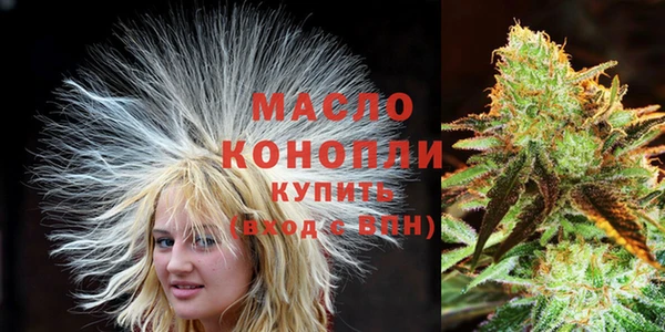 спиды Бородино