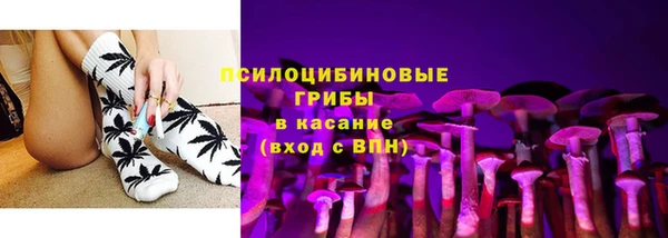 МДПВ Бронницы
