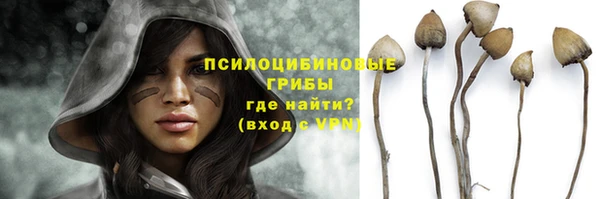 спиды Бородино