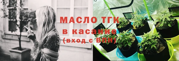 спиды Бородино