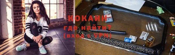 спиды Бородино
