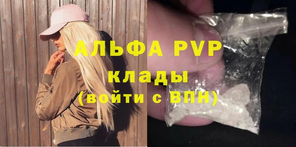 спиды Бородино