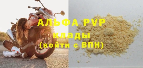 спиды Бородино